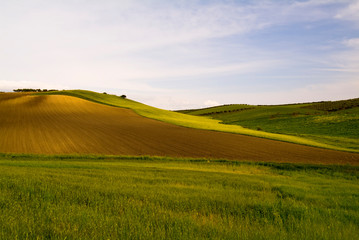 Hilly landscape at early spring, Puglia, Italy