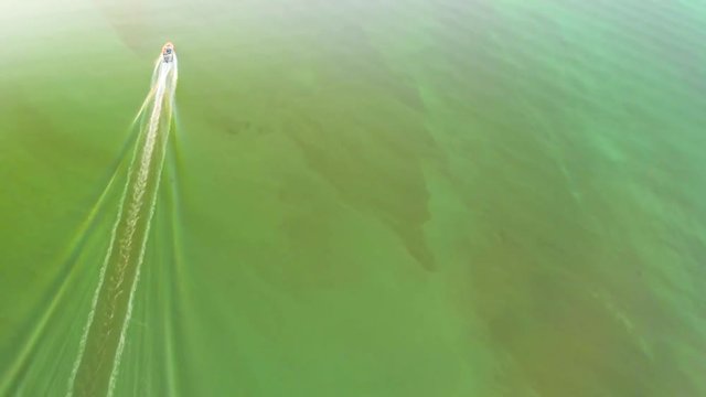 Speed boat on the river, aerial footage. The water in the river is green because of water pollution with phosphates from laundry detergents, which cause the algae to bloom.