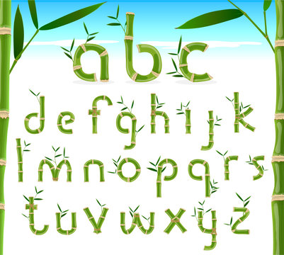 Bamboo eco alphabet, exotic tropical vector font