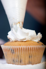 Female baker hands decorating cupcakes