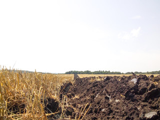 Equal plowing of the field after cleaning of wheat