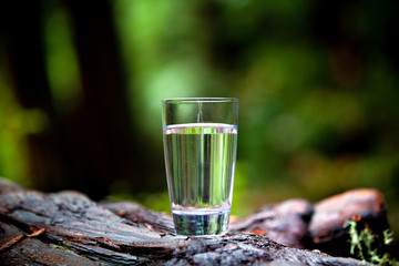 A glass of clear, fresh water sitting in nature.