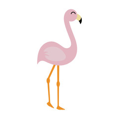 Pink Flamingo - Cute light pink flamingo illustration isolated on white background