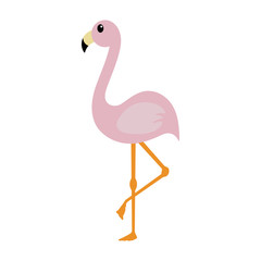 Pink Flamingo - Cute light pink flamingo illustration isolated on white background