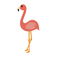 Pink Flamingo - Cute salmon pink flamingo illustration isolated on white background