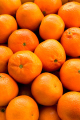 A lot of oranges and tangerines in a nest. Orange background
