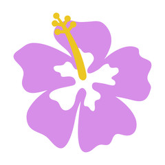 Pink Hibiscus - Single pink hibiscus flower isolated on white background