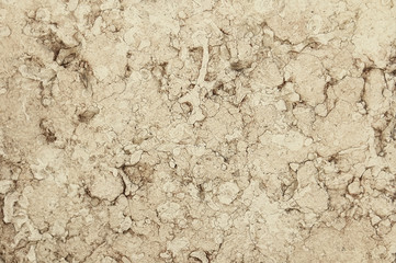 Old beige stone granite wall background texture