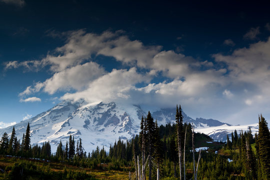 Mt. Rainier, Rainier National Park, Washington.