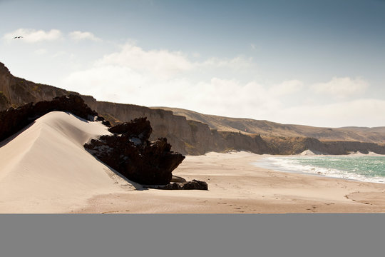 Santa Rosa Island, Channel Islands National Park, California: The beach at Becher's Bay.