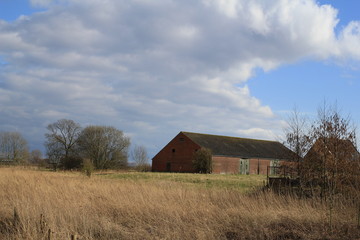a barn of an old farm in the countryside in holland with reed beds, grass and trees in winter