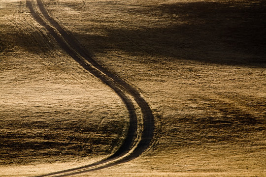 Rolling golden hills of the Tejon Ranch near Antelope Valley.
