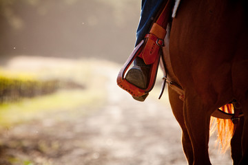 ARROYO GRANDE: abstract view of someone horseback riding