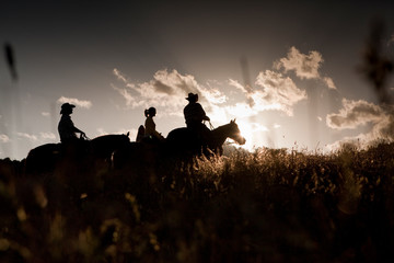 ARROYE GRANDE, CALIFORNIA: A group on a recreational horseback ride