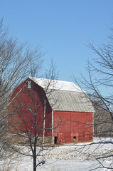 Winter scene on the farm