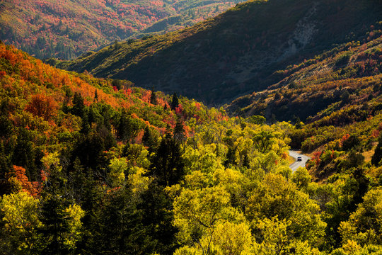 Uinta National Forest, Mt. Nebo Loop Scenic Byway, Utah.