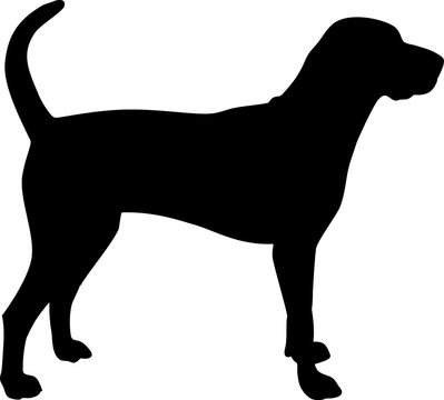 American English Coonhound silhouette black