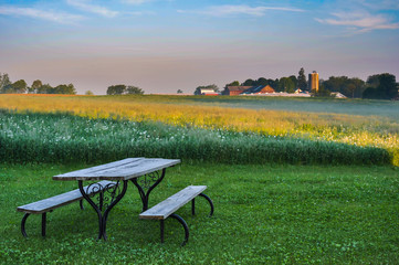 An old picnic table in a lawn looking toward a farm across an alfalfa field.