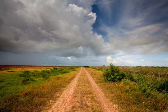 Mad Island Marsh Preserve, Texas: A Dirt Path Allows Vehicles To Travel Safely Throughout The Marsh.