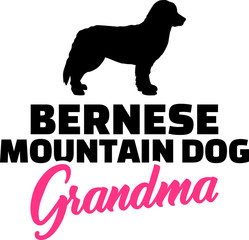 Bernese Mountain Grandma