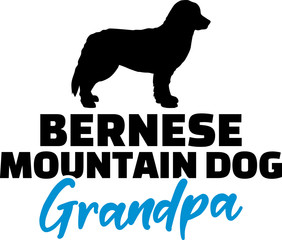 Bernese Mountain Grandpa