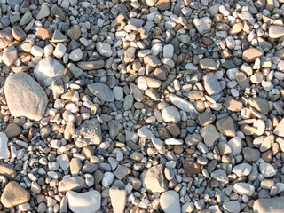 natural texture formed from the ground taken  in full daylight in summer 