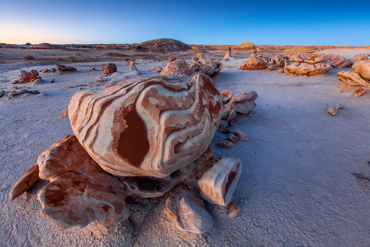 Bisti De-Na-Zin Wilderness Area, New Mexico: Hoodoos and egg like structures in an area aptly named the egg garden.