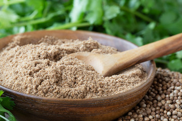 Coriander Powder in Bowl