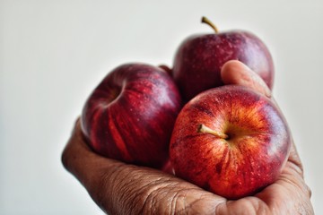 Holding apples