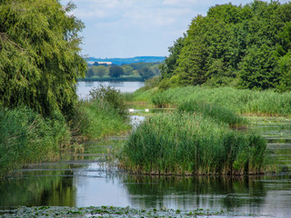 Fototapeta premium Views of Hungarian nature reserve Kis Balaton (Little Balaton)in the near from Lake Balaton with blue Sky ,green Vegetation and blue Water