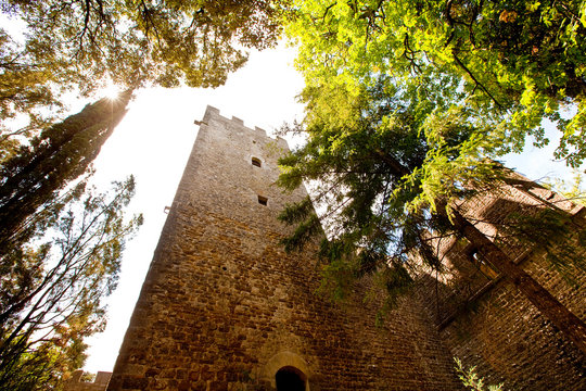 Barone Ricasoli - Castello di Brolio, Chianti, Tuscany, Italy.