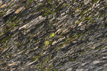 Textured basalt background thin stone fibers in the cut. natural volcanic formations