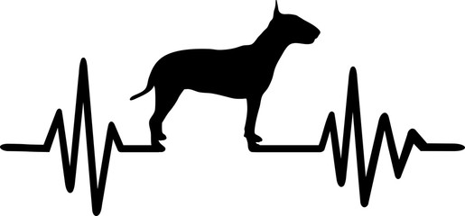 Bull terrier frequency - obrazy, fototapety, plakaty