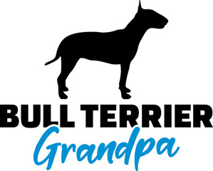 Bull terrier Grandpa