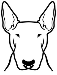 Bull terrier head - obrazy, fototapety, plakaty