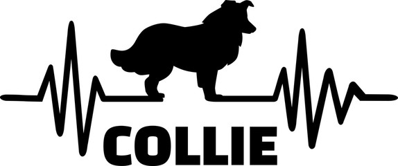 Collie frequency silhouette