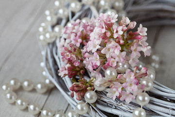 Romantic still life with pastel pink Viburnum flower with pearl necklace