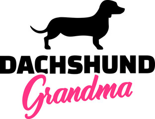 Dachshund Grandma in pink