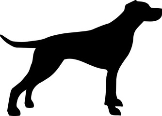 English Pointer silhouette black