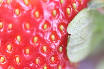 Extreme macro of strawberry texture -background