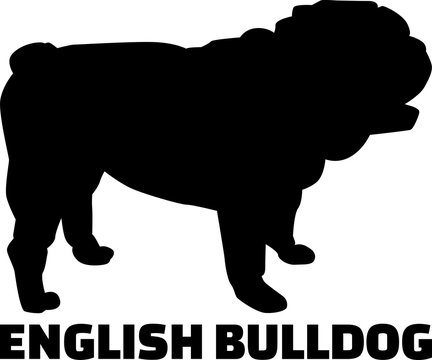 English Bulldog Silhouette