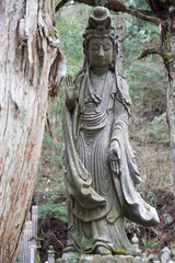 Fototapeta na wymiar Buddha statue in Mount Koya Cemetery, Wakayama Japan