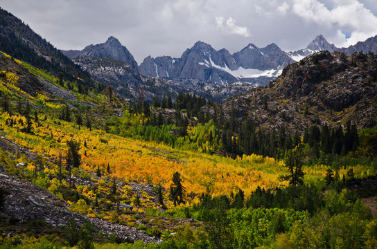 Fall color at its peak near Lake Sabrina and Bishop CA.