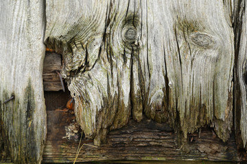 Old wooden plank