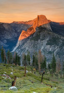Half dome at sunset from Glacier Point, Yosemite National Park CA.