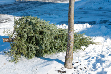 Christmas tree thrown away after Christmas