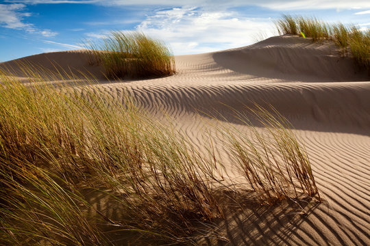 Guadalupe-Nipomo Dunes National Wildlife Refuge, Guadalupe, California, USA