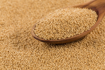 amaranth grain closeup