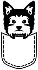 Yorkie pocket black and white