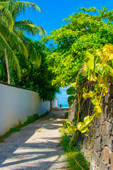 Fototapeta premium Ile Maurice - Bord de Mer